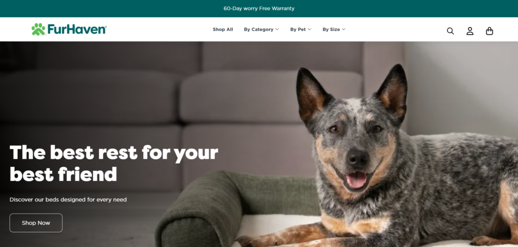 A senior dog sleeping comfortably on a Furhaven orthopedic memory foam bed.